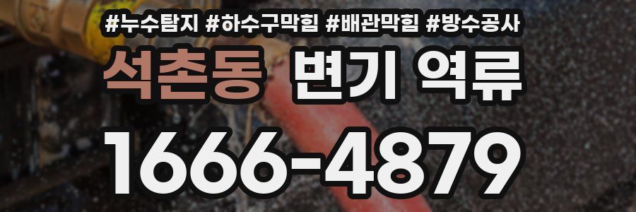 석촌동 변기 역류