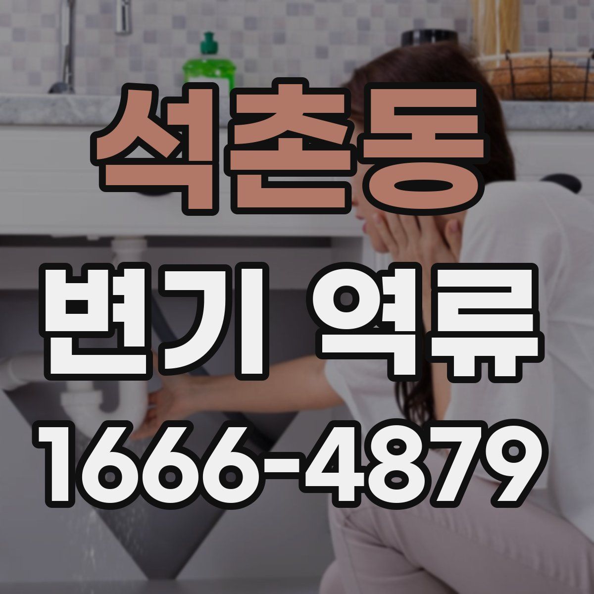 석촌동 변기 역류