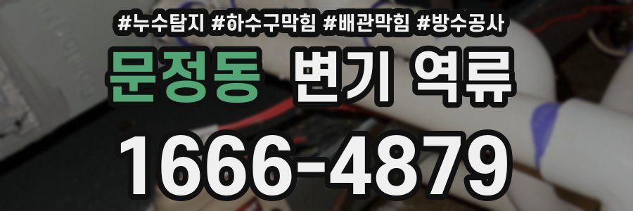 문정동 변기 역류