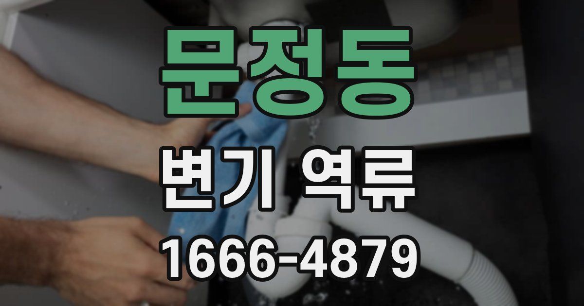 문정동 변기 역류