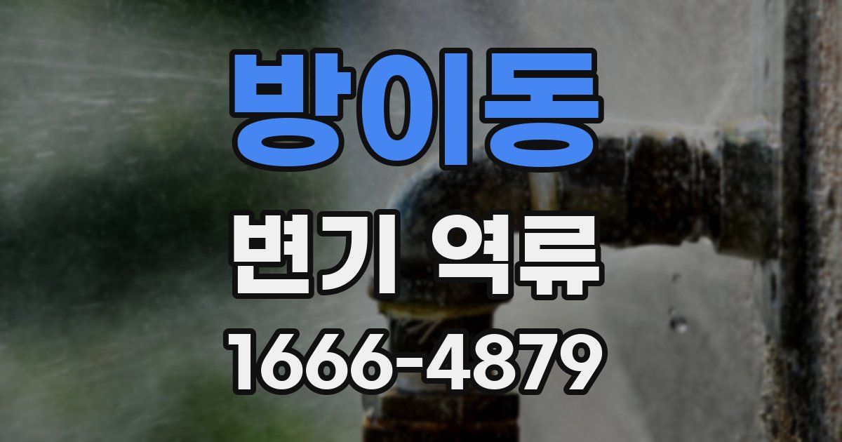 방이동 변기 역류