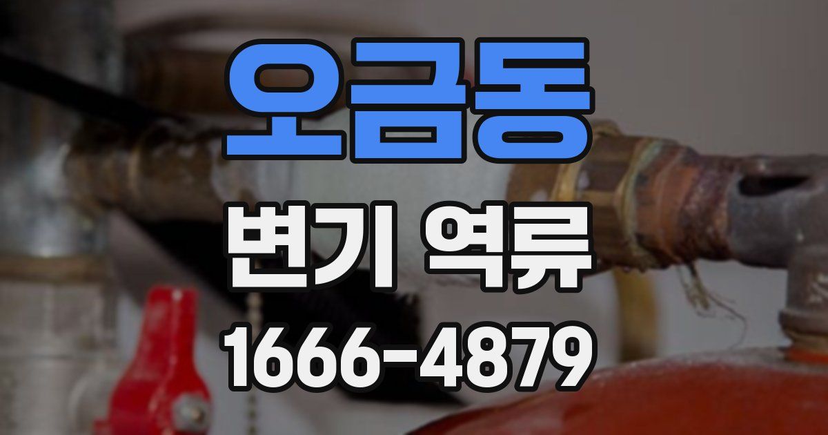 오금동 변기 역류