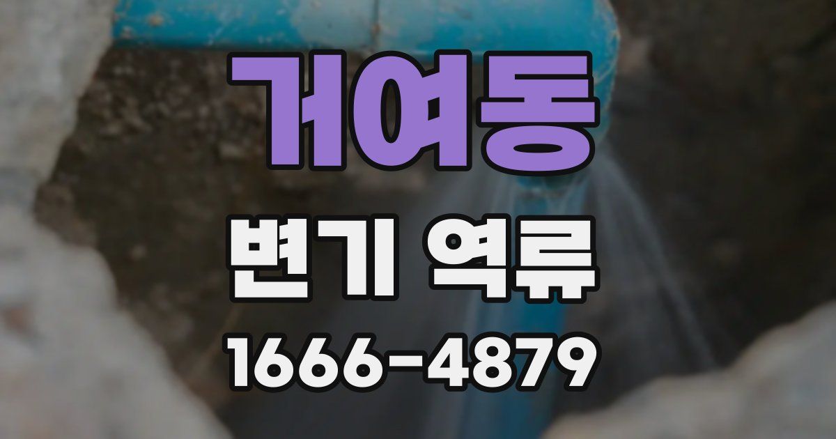 거여동 변기 역류