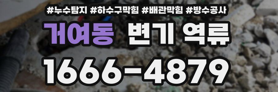 거여동 변기 역류