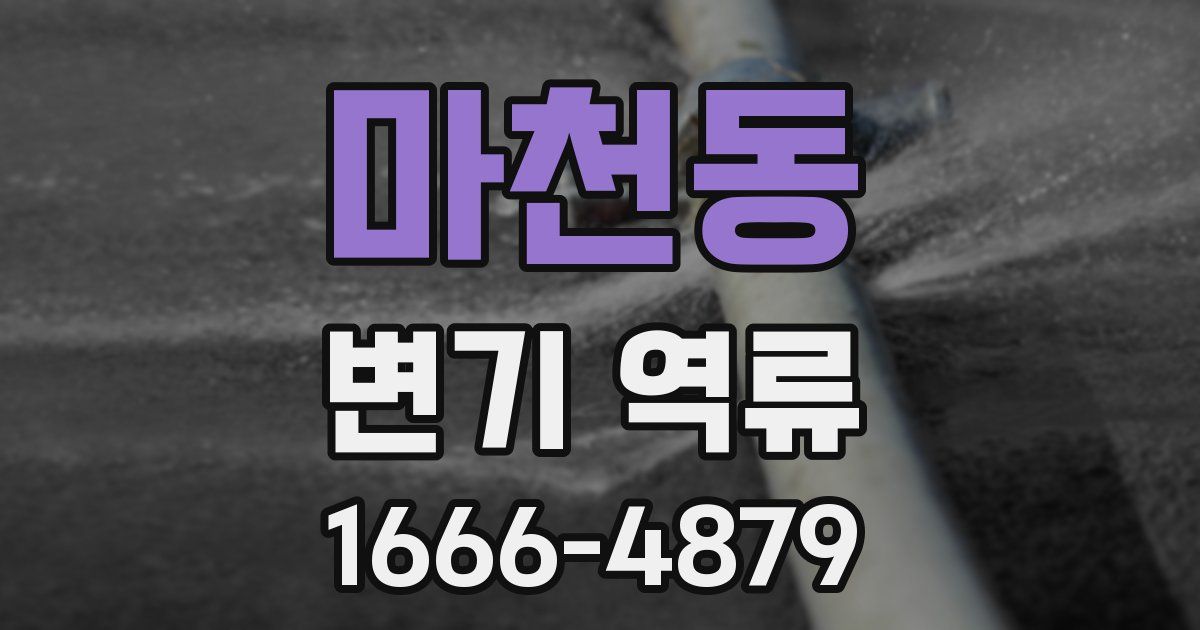 마천동 변기 역류