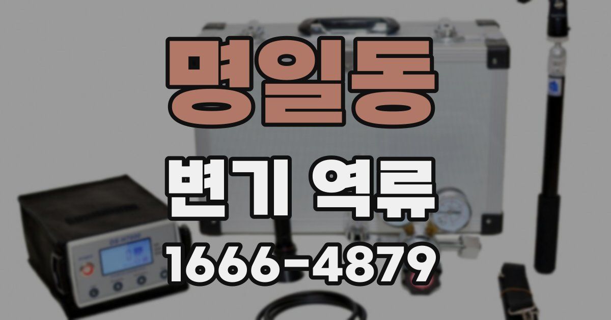 명일동 변기 역류