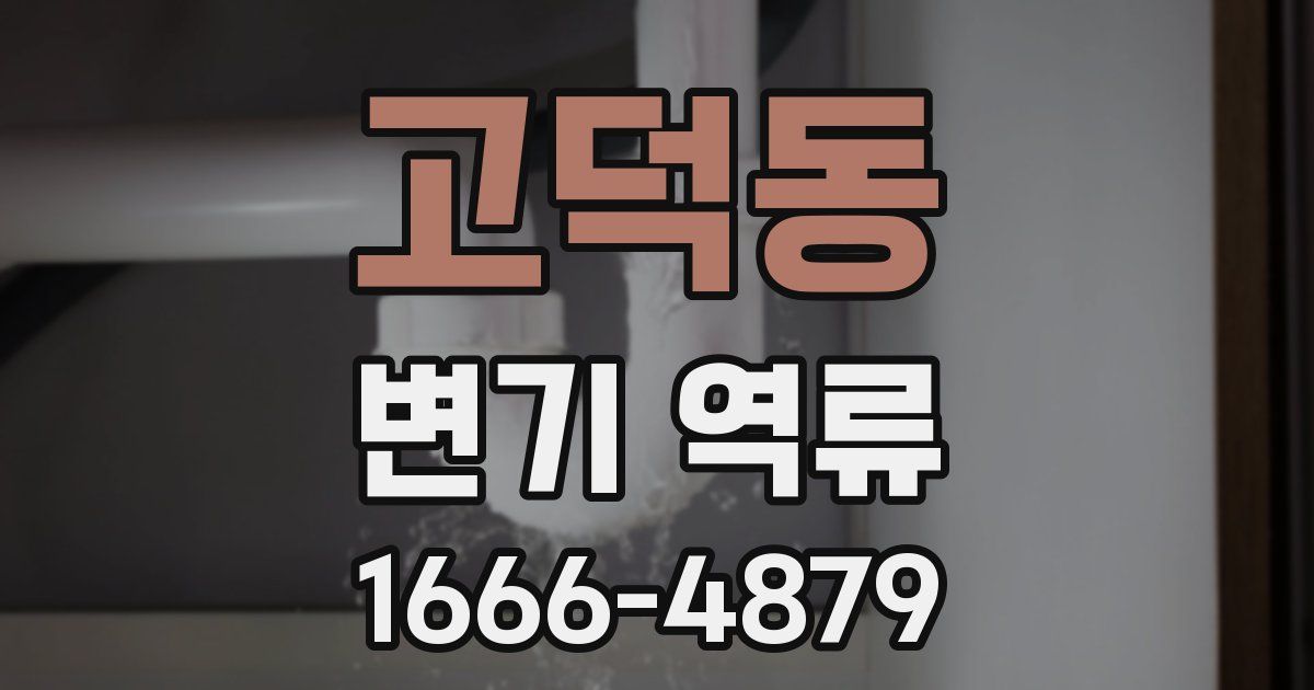 고덕동 변기 역류
