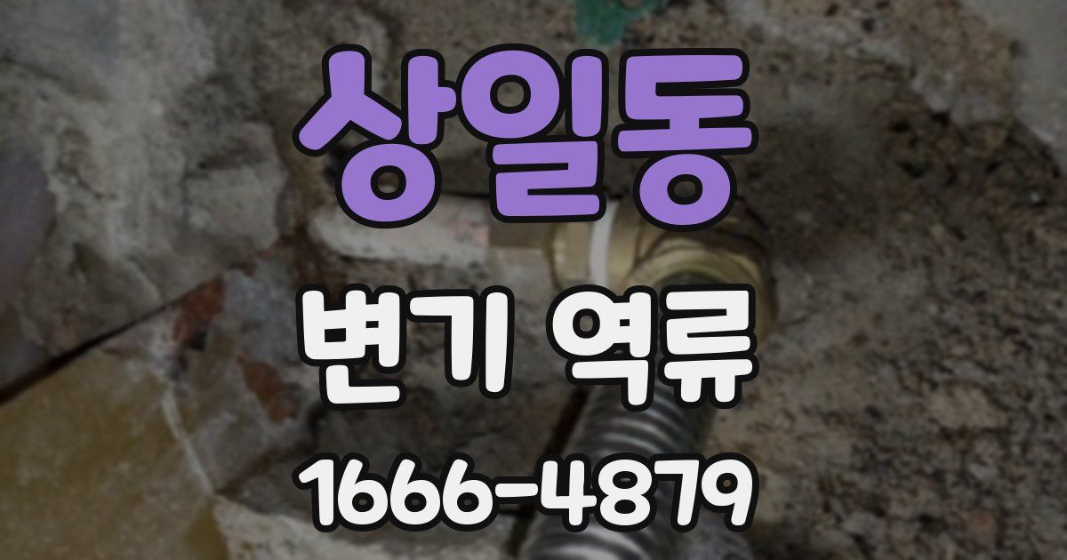 상일동 변기 역류
