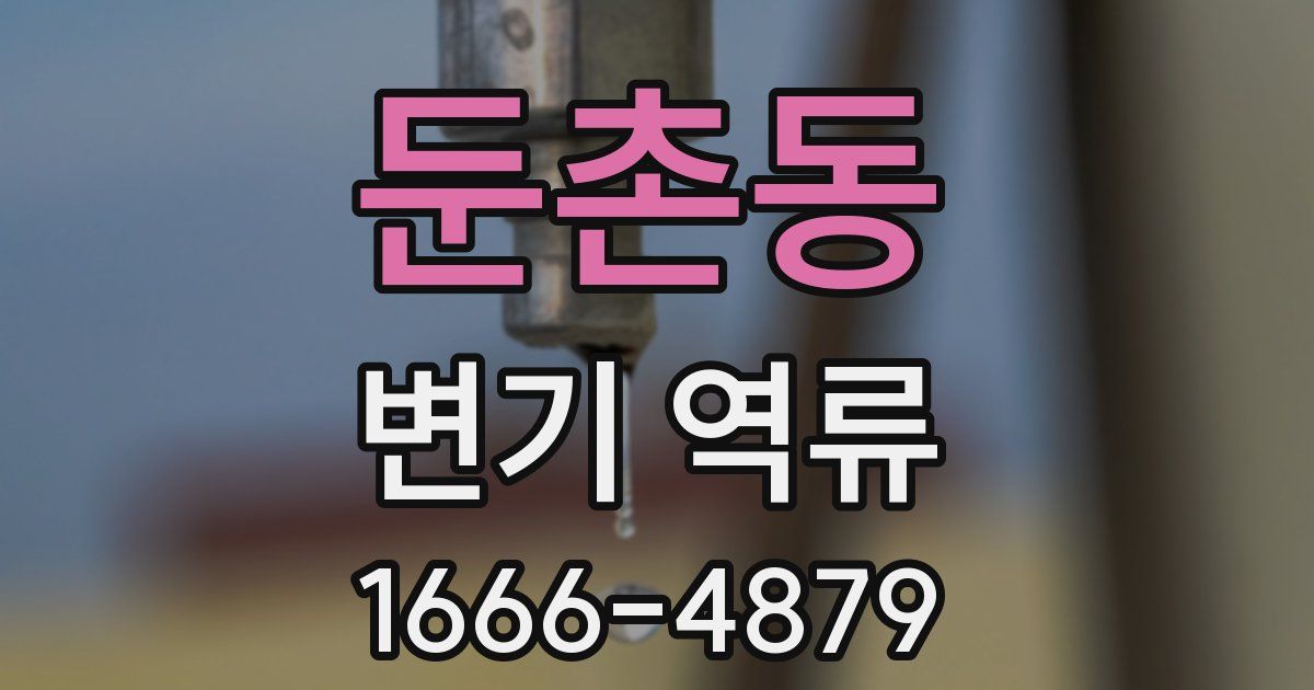 둔촌동 변기 역류
