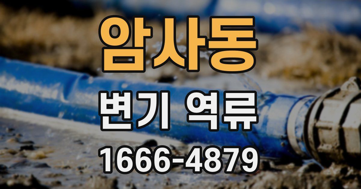 암사동 변기 역류