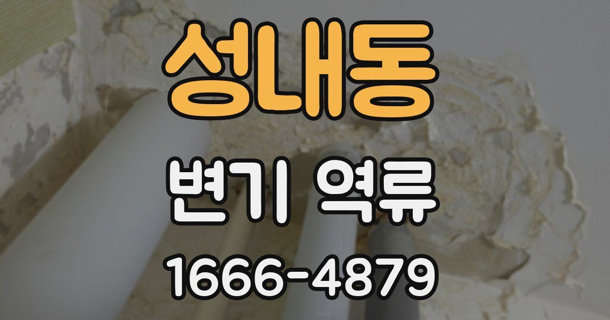 성내동 변기 역류