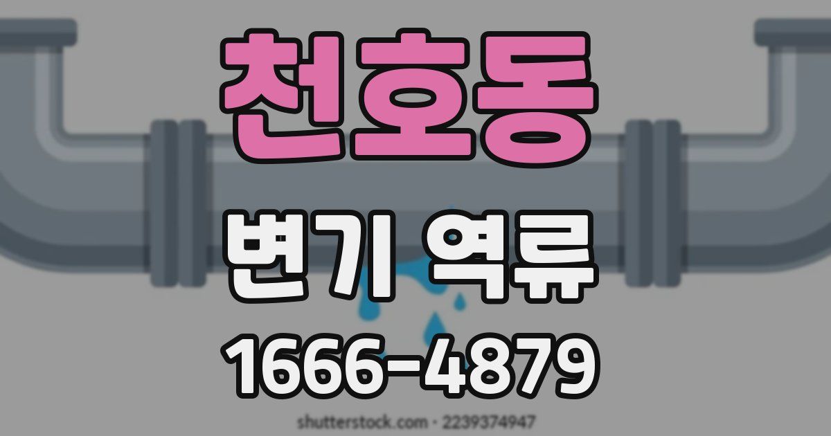 천호동 변기 역류