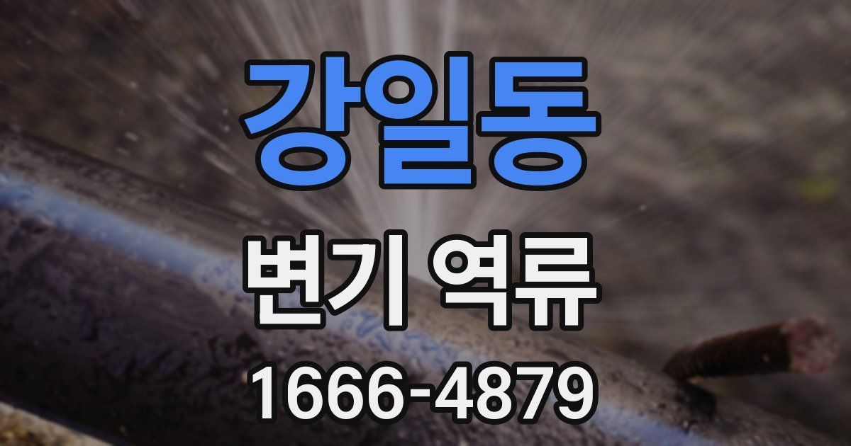 강일동 변기 역류