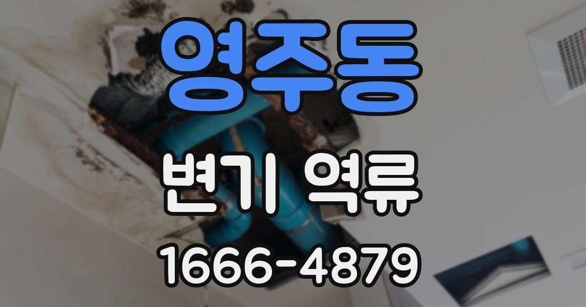 영주동 변기 역류
