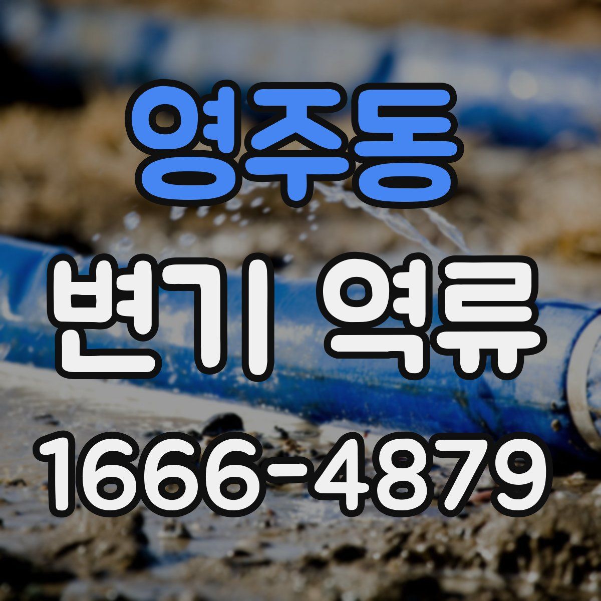 영주동 변기 역류
