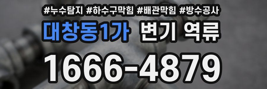 대창동1가 변기 역류