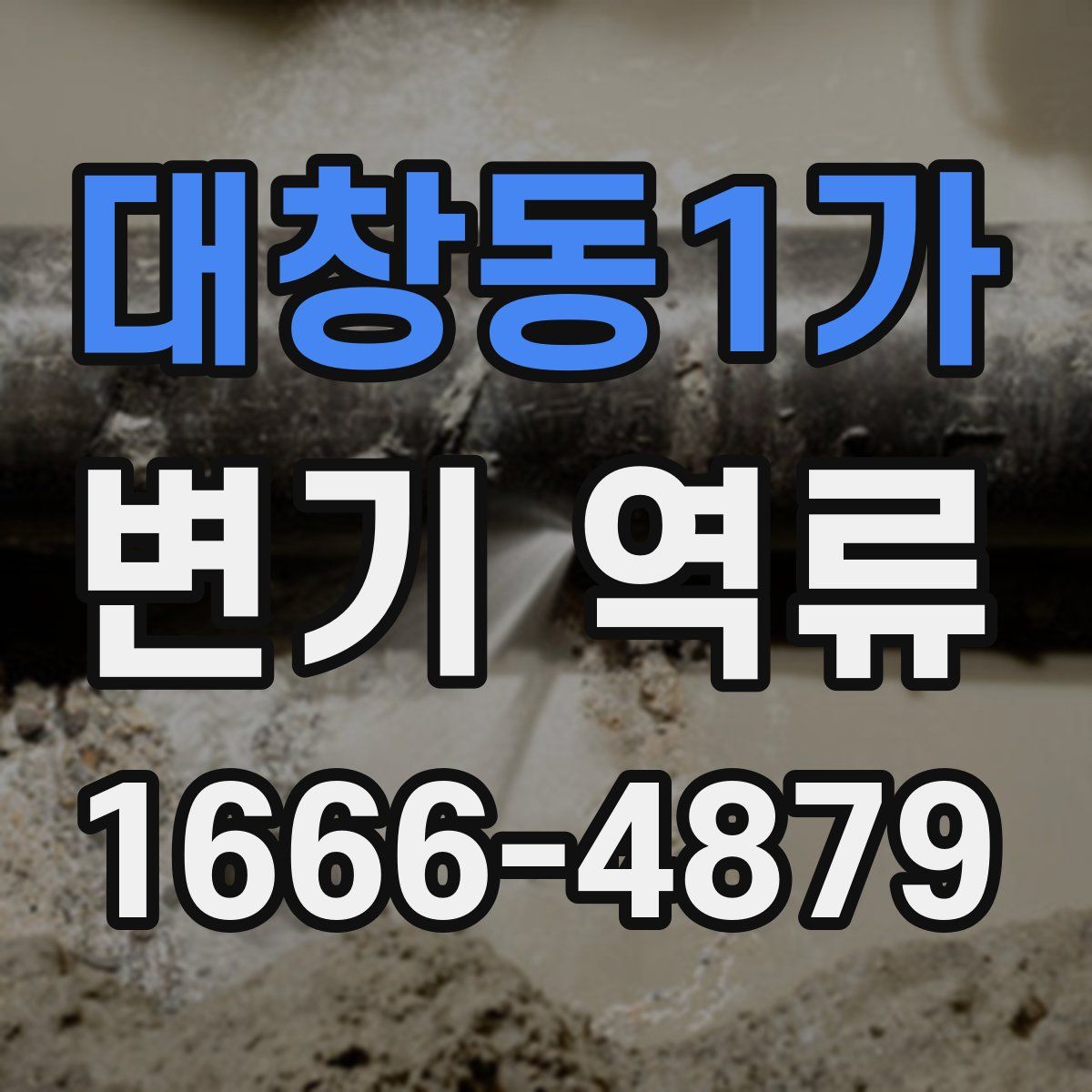 대창동1가 변기 역류