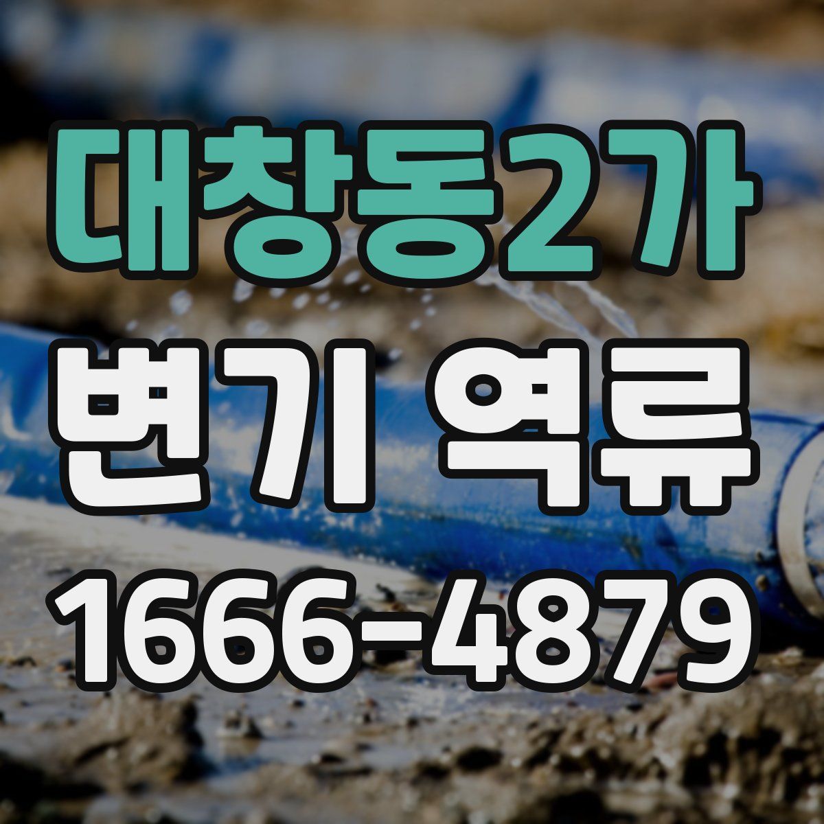 대창동2가 변기 역류