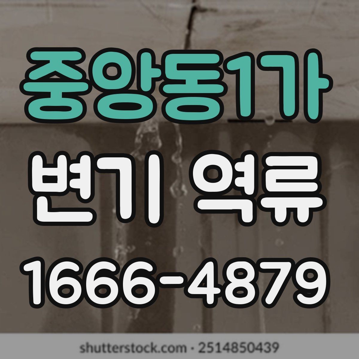 중앙동1가 변기 역류 배관 막힘과의 차이