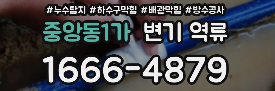 중앙동1가 변기 역류