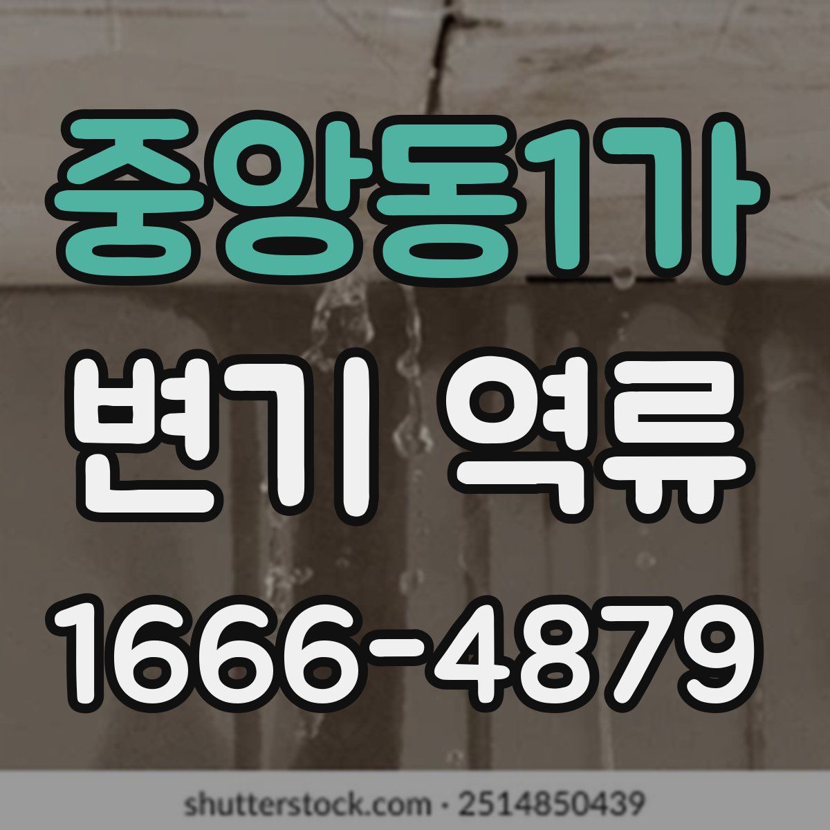 중앙동1가 변기 역류