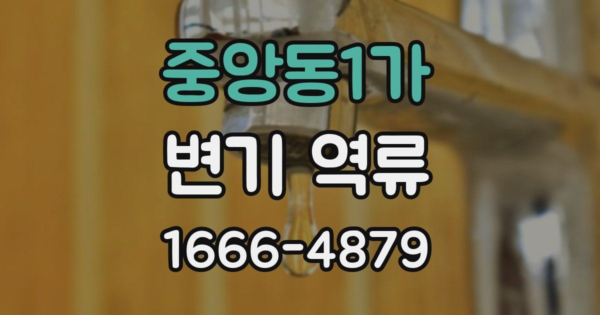중앙동1가 변기 역류