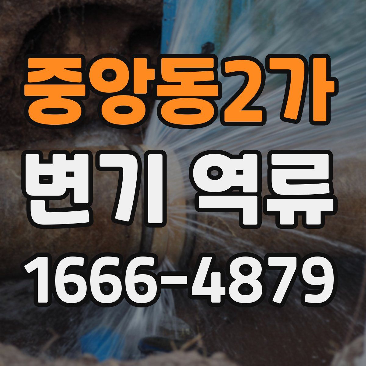 중앙동2가 변기 역류