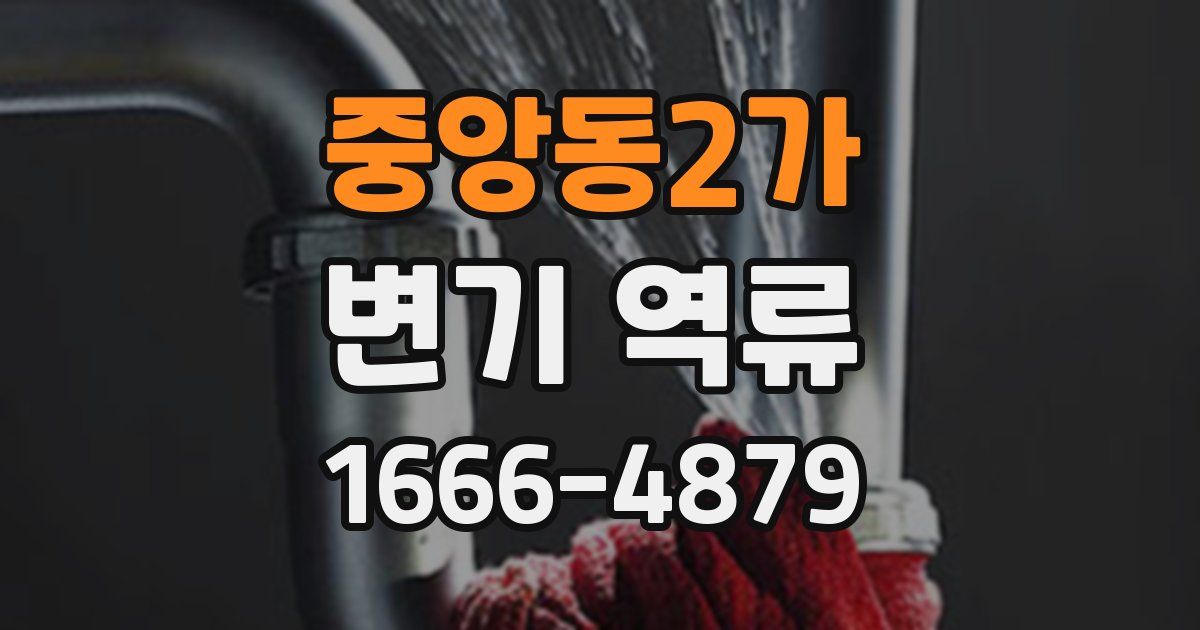 중앙동2가 변기 역류