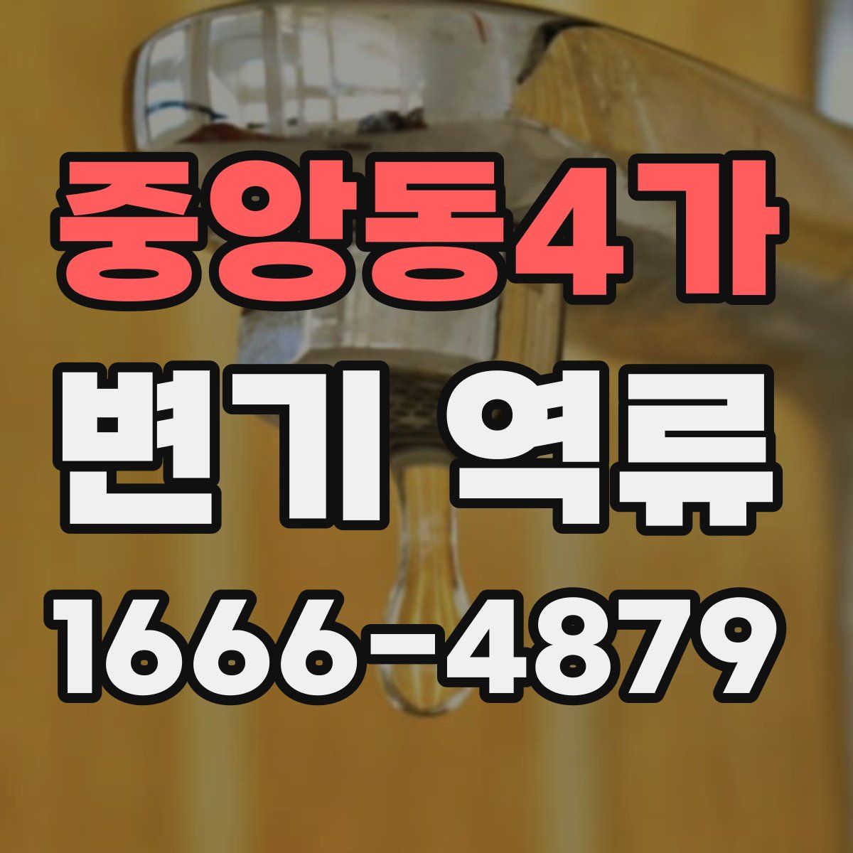 중앙동4가 변기 역류