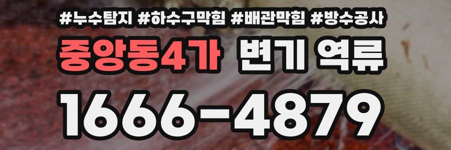 중앙동4가 변기 역류