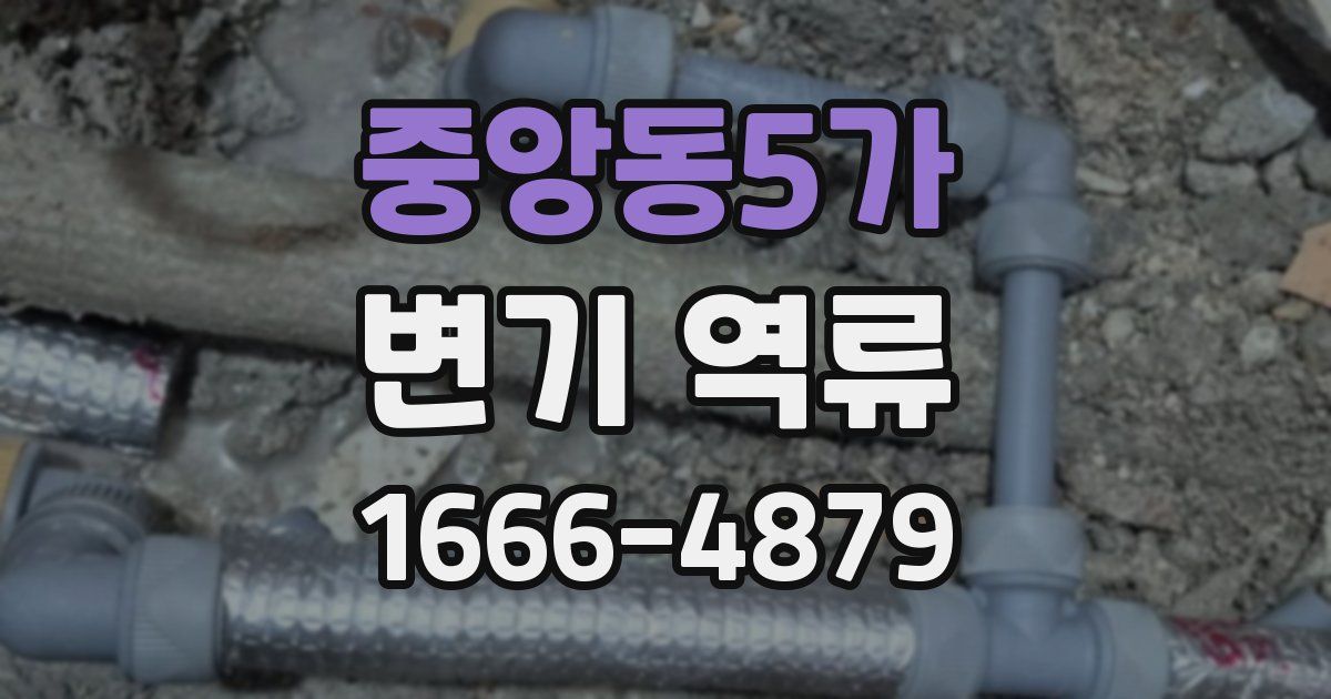 중앙동5가 변기 역류