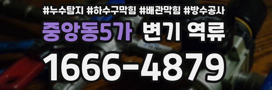 중앙동5가 변기 역류