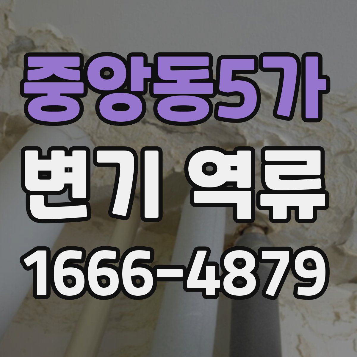 중앙동5가 변기 역류