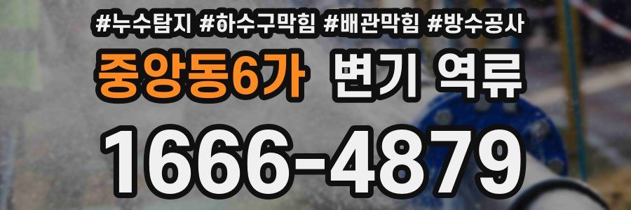 중앙동6가 변기 역류
