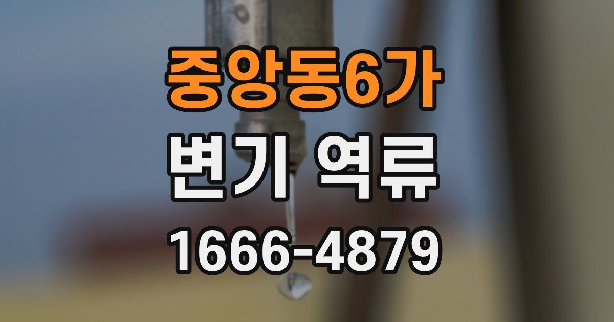 중앙동6가 변기 역류
