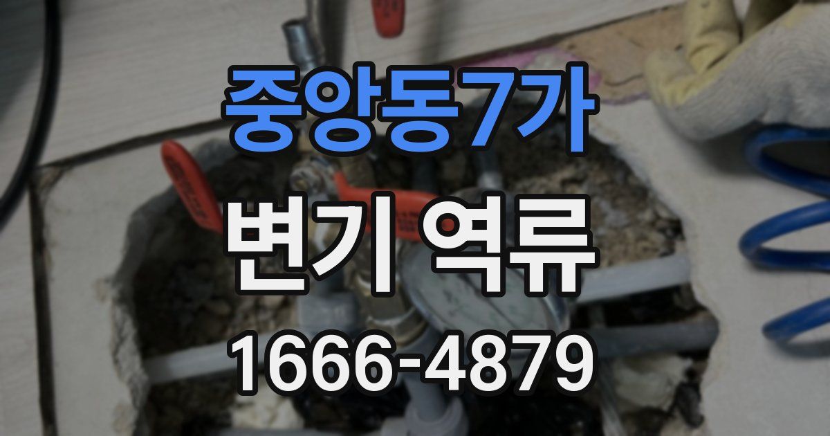 중앙동7가 변기 역류