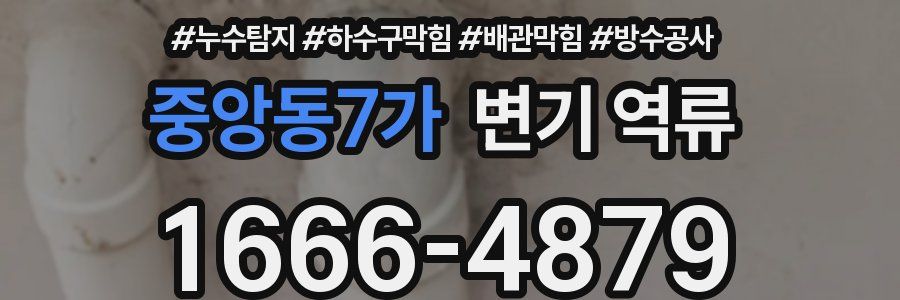 중앙동7가 변기 역류