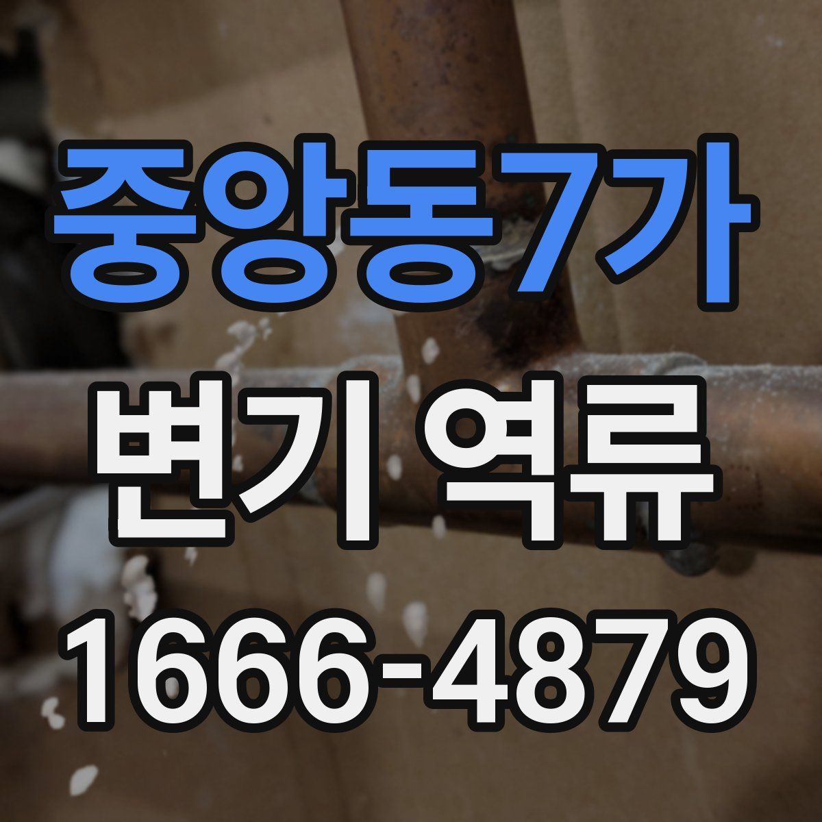 중앙동7가 변기 역류