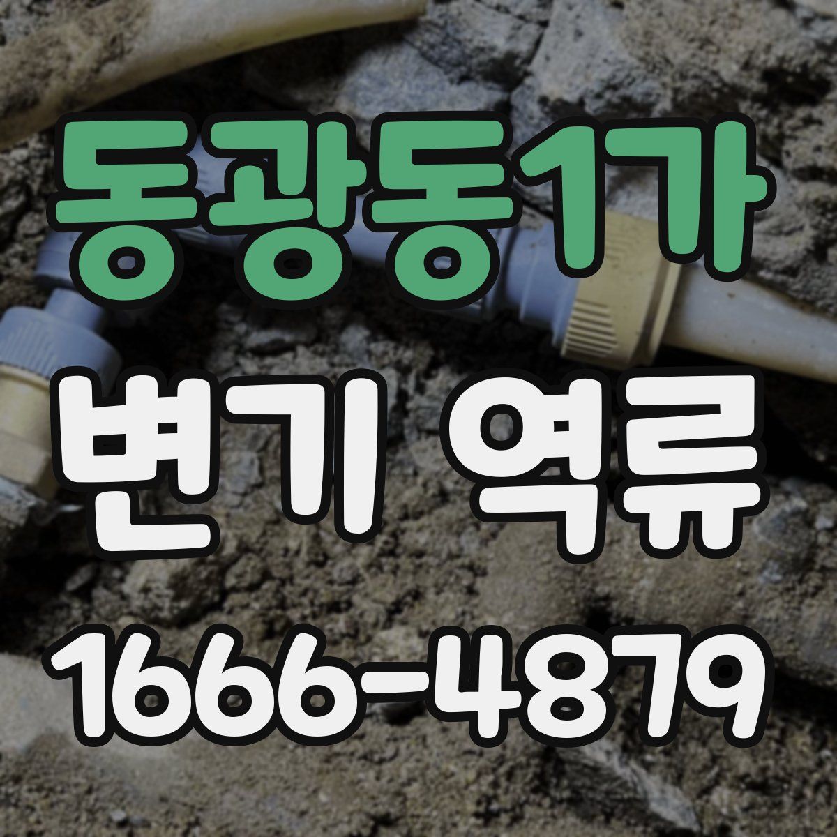 동광동1가 변기 역류
