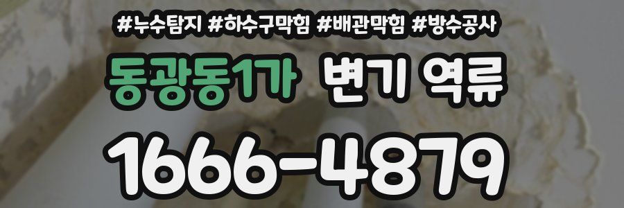 동광동1가 변기 역류
