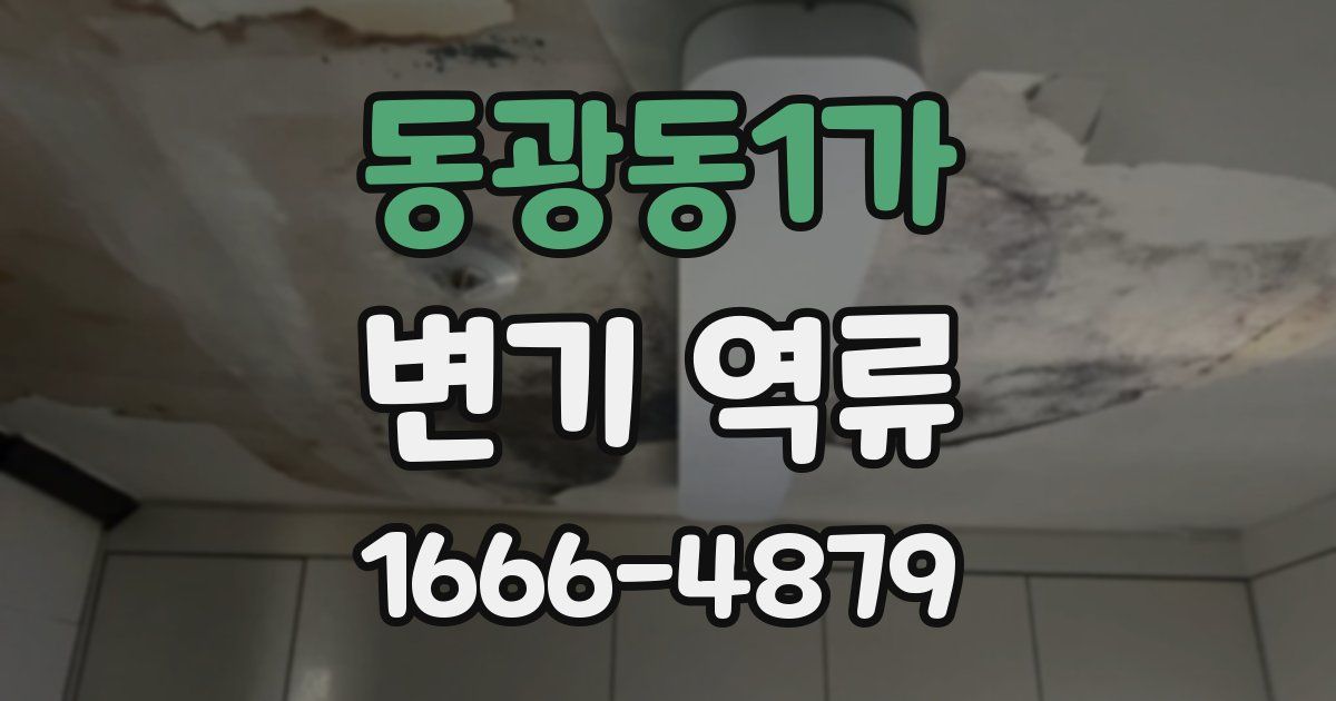동광동1가 변기 역류