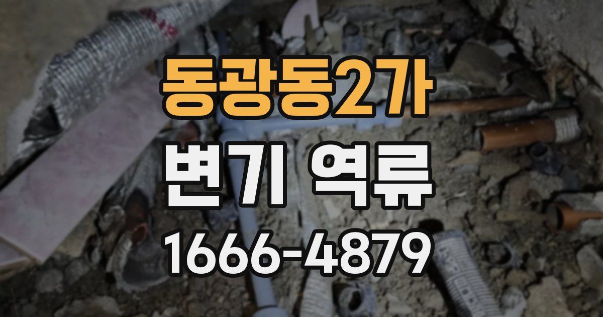 동광동2가 변기 역류
