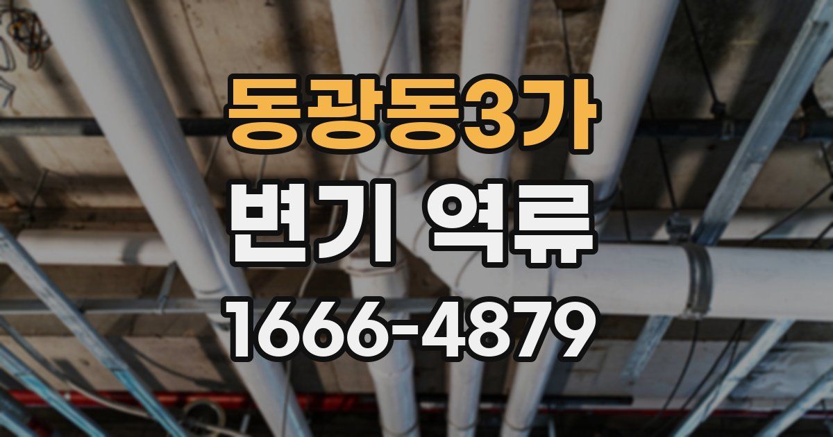 동광동3가 변기 역류