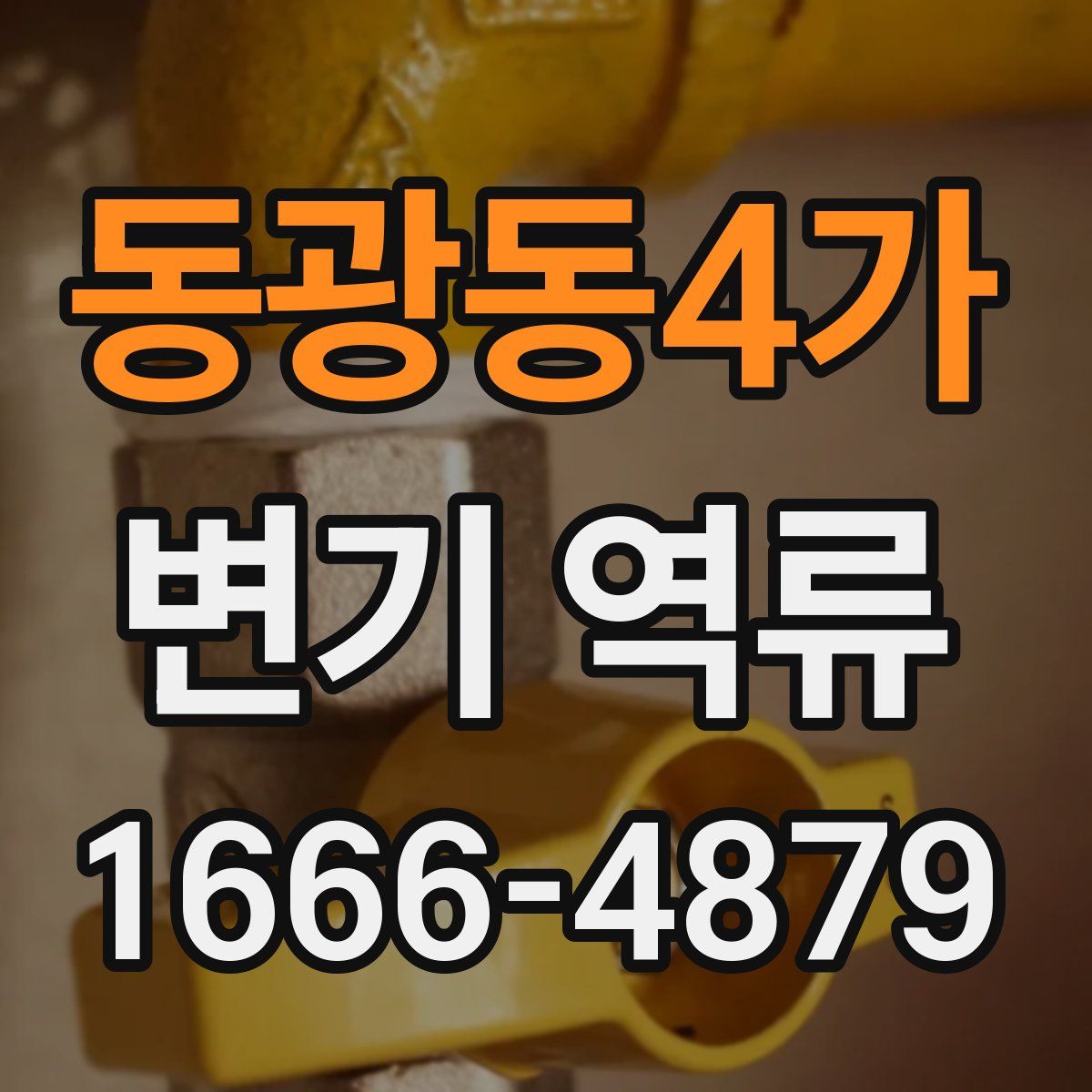 동광동4가 변기 역류