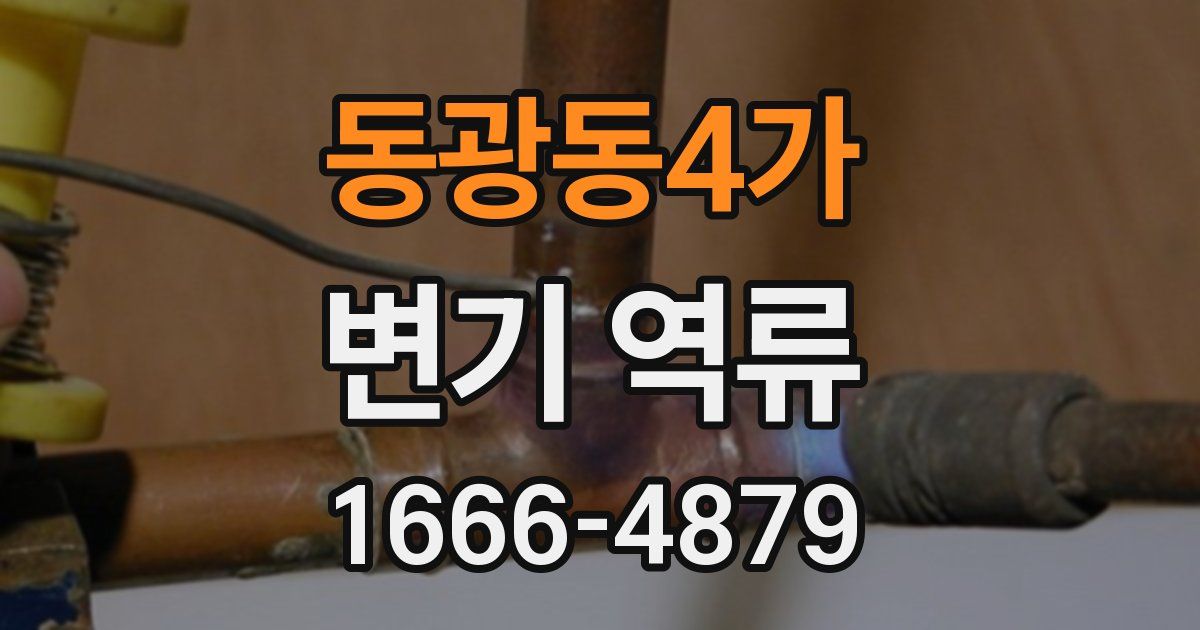 동광동4가 변기 역류