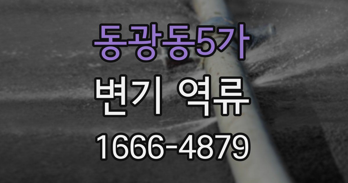 동광동5가 변기 역류