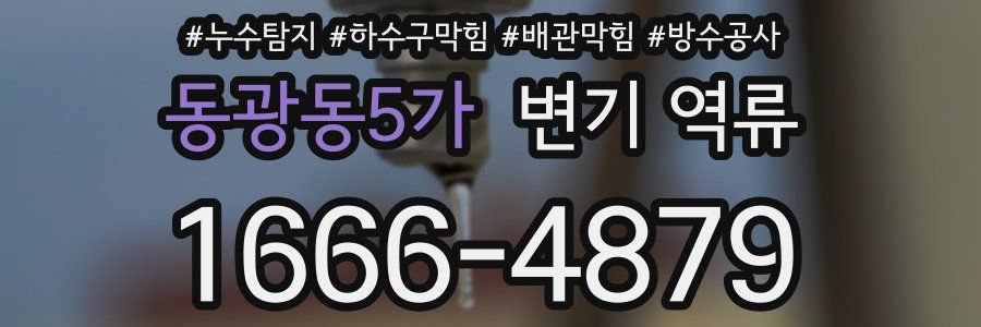 동광동5가 변기 역류