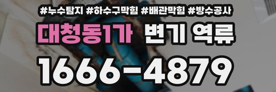 대청동1가 변기 역류