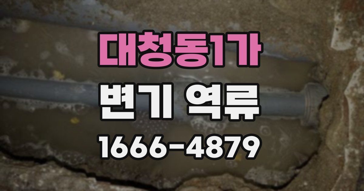 대청동1가 변기 역류
