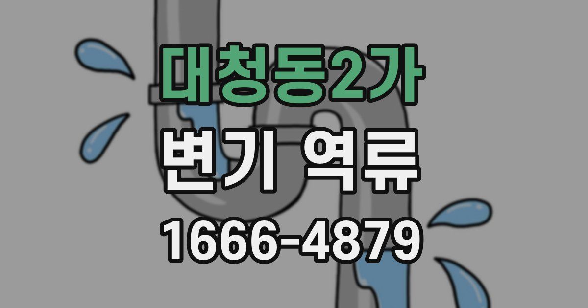 대청동2가 변기 역류